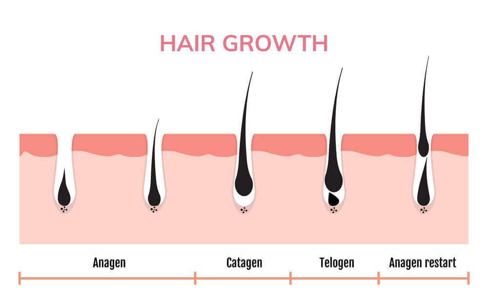 Hair Regrowth Kit » SkinOl Cosmetics