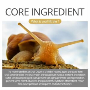 Collagen Snail Serum