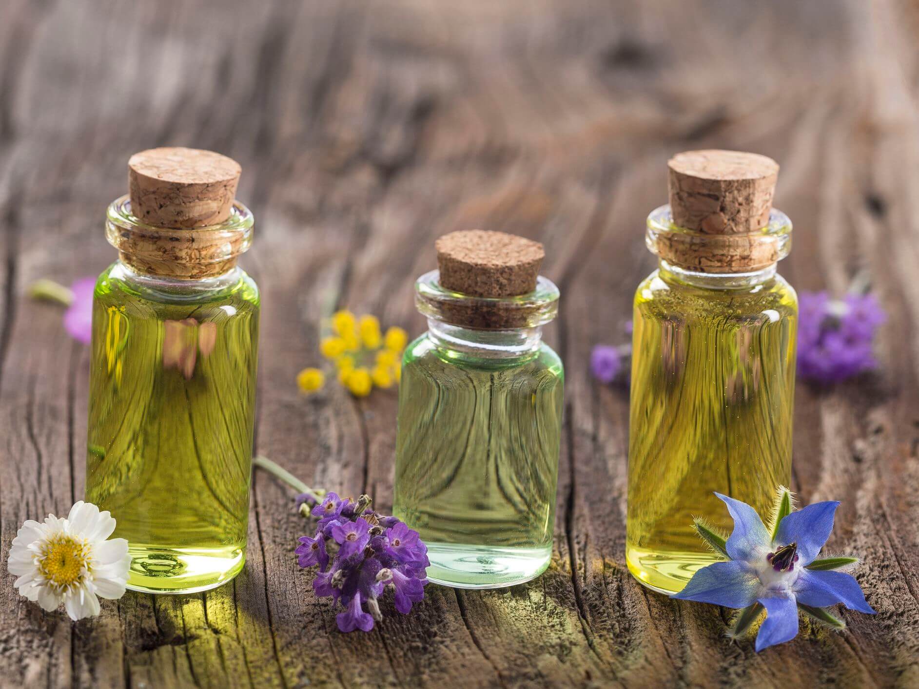 Best Essential Oils For Hair Growth
