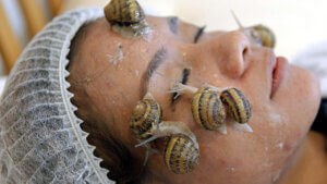 snail beauty treatment
